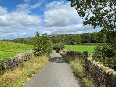 Aşağı bak, Lumb Gill Yolu, kuru taş duvarlar, yabani bitkiler ve yakınlardaki ağaçlarla, Addingham, Ilkley, İngiltere