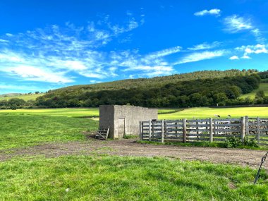 Koyun ağılları, tarlaları ve uzak ormanlarla, bir yaz gününde, Keighley, Yorkshire, İngiltere