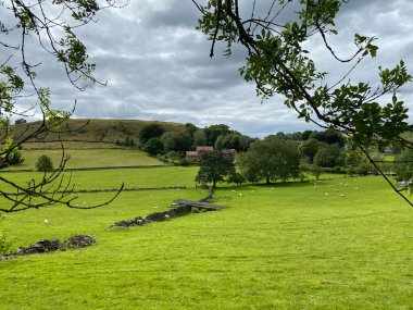 Pastoral manzara, çayırlar, koyunlar, ağaçlar, çiftlikler ve New Delph, Oldham, İngiltere yakınlarında bulutlu bir gökyüzü.