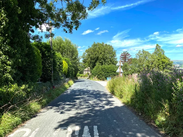 View Pale Lane Wild Plants Old Trees Houses Hot Summer — стоковое фото