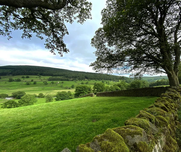 Taştan bir duvarın üzerinden, yakınlardaki tarlalara, ağaçlara ve tepelere, Barden Kulesi 'ne, Skipton' a bakan kır manzarası.