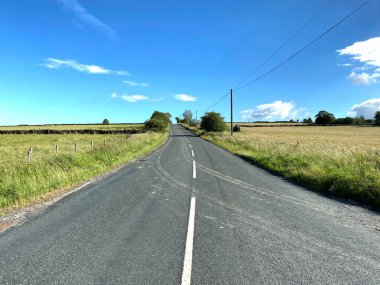 Yukarı bakıyorum, Shepherd Hill, tarlaları, ağaçları ve mavi gökyüzü, Little Timble, Harrogate, İngiltere