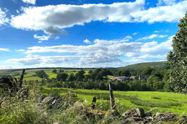 Skipton Yolu 'ndan manzara manzarası, tarlaları, ağaçları, çiftlikleri ve uzak tepeleri olan, Blubberhouse, Harrogate, İngiltere