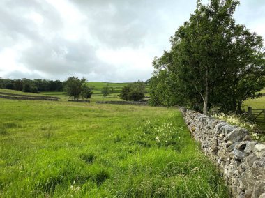 Bir tarlanın köşesinde, uzun çimenler, kurumuş taş duvarlar ve bulutlu bir gökyüzü, Appletreewick, Skipton, İngiltere yakınlarında.