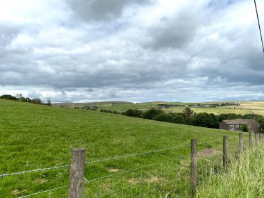 Denshaw, Oldham, İngiltere yakınlarındaki bulutlu bir günde tarlalar, ağaçlar ve uzak çayırlar manzarası.