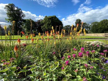 Pembe, sarı ve kırmızı, çiçekler yeşiller arasında, bir park ortamında, Brighouse, Yorkshire, İngiltere 'de bir yaz gününde.