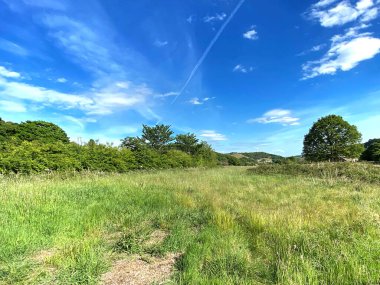 Yaban bitkileri, ağaçlar ve Halifax, Yorkshire, İngiltere yakınlarındaki bir çiftlik ile kaplanmış tarla.