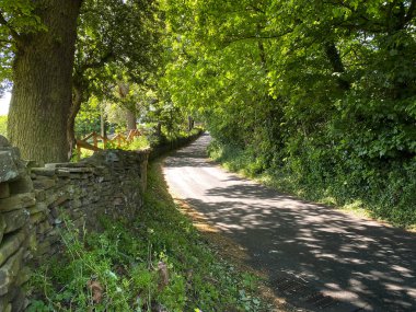 Headley Yolu boyunca, kuru taş duvarlar, eski ağaçlar ve kırık güneş ışığıyla Thornton, Bradford, İngiltere