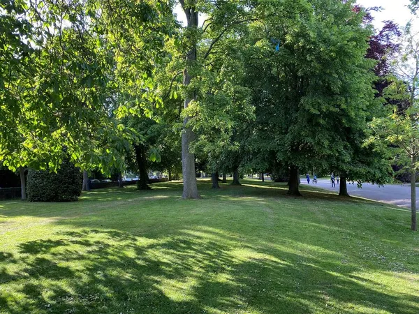 Parkland Mit Alten Bäumen Neben Einem Großen Fußweg Lister Park — Stockfoto
