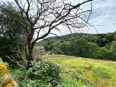 Ağaçlar, binalar, yabani bitkiler ve uzak bir ormanda, bulutlu bir günde, Hebden Royd, Halifax, İngiltere