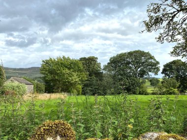 Hetton, Skipton, İngiltere 'deki tarlalara, ağaçlara ve uzak tepelere bakan bir taş duvarın üzerinden.