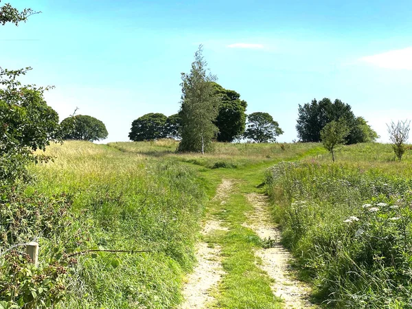 Košík Poli Divokými Rostlinami Stromy Vedoucí Priesthorpe Road Calverley Leeds — Stock fotografie