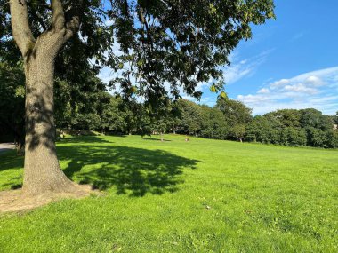 Park manzarası, eğimli bir çim tarlası, eski ağaçlar, ve uzak figürler, güneşli bir günde, Peel Park, Bradford, İngiltere