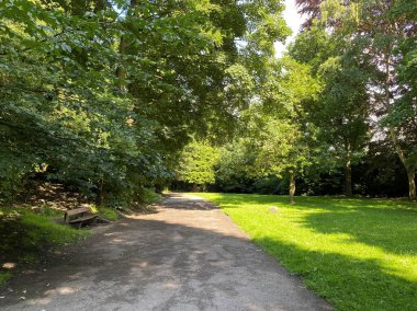 Geniş patika, ve eski ağaçlarla dolu bir dinlenme yerinde ahşap bir bank, ve kırık güneş ışığı, Roberts Park, Bradford, İngiltere