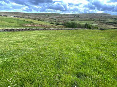 Uzun çimenli tarlalar, İngiltere, Haworth, Keighley yakınlarındaki kırların kenarına ulaşıyor.