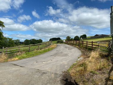 Köy yolu, ahşap çitlerle kaplı, tepeyi aşıyor, tarlaları ve çayırları geçiyor, Trawden, Colne, İngiltere 
