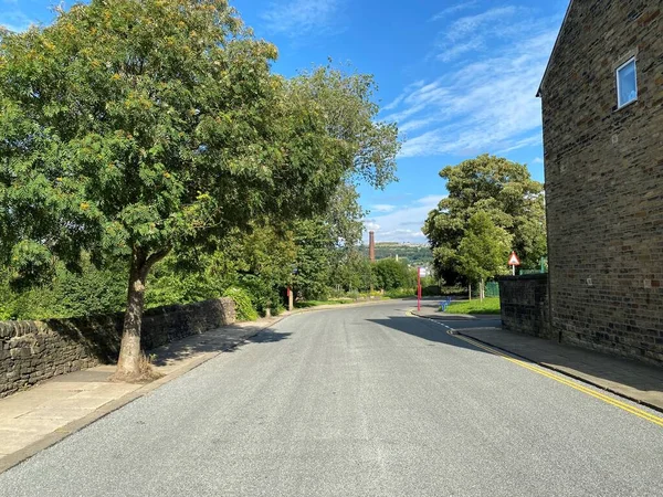 Caroline Street Mit Alten Bäumen Gebäuden Und Dem Stadtzentrum Von — Stockfoto