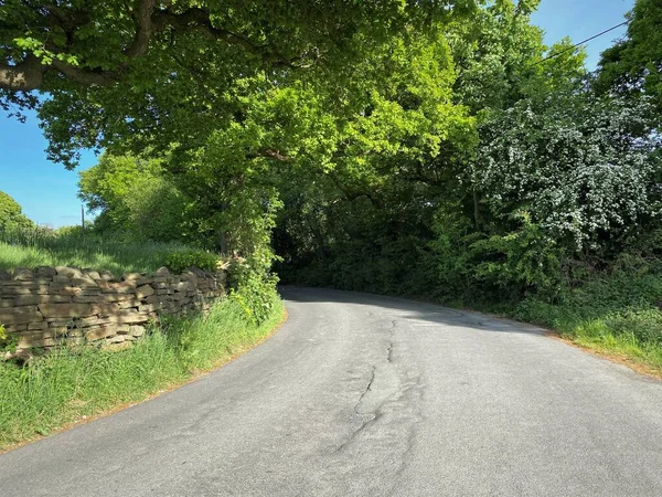 Country Road Vedoucí Haworthu Bradfordu Suchými Kamennými Zdmi Velkými Stromy — Stock fotografie