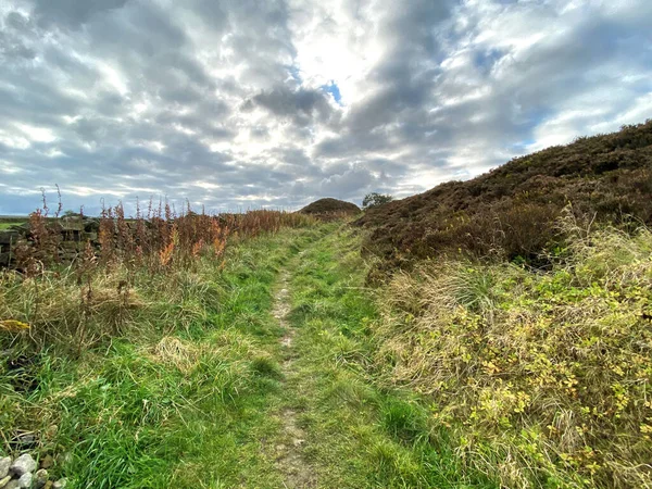 Hikers Trail Moor Top Leading Haworth Gorse Wild Plants Oxenhope — Stock Photo, Image