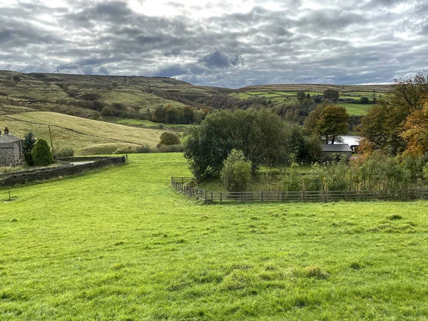 Tájkép Mezőkkel Fákkal Lápokkal Közel Denholme Road Leeming Egyesült Királyság — Stock Fotó