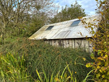 Büyük eski bir kulübe. Etrafı yabani bitkilerle çevrili ve ağaçlarla çevrili. Sawood Lane, Oxenhope, İngiltere.
