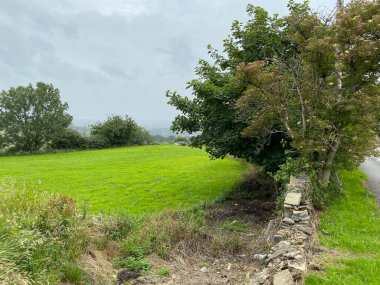 Kırık taştan bir duvarın yanındaki ağaçlar, çayır ve yağmur bulutları, Mübaşir Köprüsü, Brighouse, İngiltere