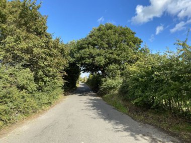 Yol boyunca, Jay House Lane, çalılar, eski ağaçlar, ve mavi gökyüzü, Halifax, Yorkshire, İngiltere