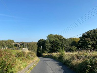 Aşağı bak, Alderscholes Yolu, vahşi bitkiler, çalılar ve ağaçlarla, Thornton, Bradford, İngiltere