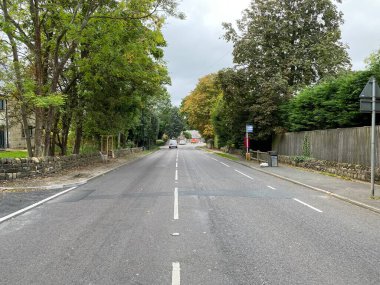 Yeni Havuz Bankası Yolu, geniş eski ağaçlar ve bulutlu bir gökyüzü, Havuz, Otley, İngiltere