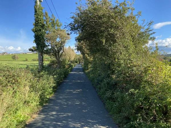 Kijkend Naar Beneden Thornhills Lane Met Wilde Planten Oude Bomen — Stockfoto