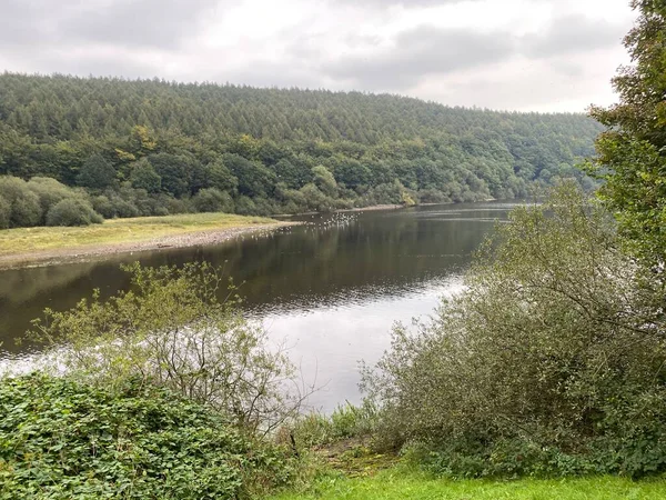 Lindley Wood Reservoir Ködös Erdővel Madarakkal Felhős Égbolttal Lindley Otley — Stock Fotó