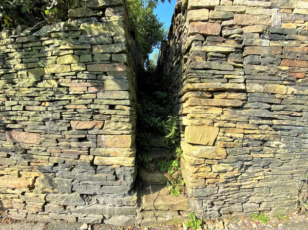 Viejos Pasos Desgastados Cubiertos Plantas Entre Una Gran Pared Piedra — Foto de Stock