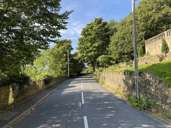 Blick Entlang Kell Lane Mit Trockenmauern Alten Bäumen Und Wildpflanzen — Stockfoto