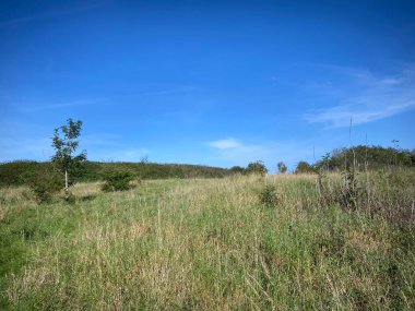 Tepenin üstünde, Shibden Vadisi 'nin üstünde, uzun otlar ve Halifax, Yorkshire, İngiltere yakınlarında mavi bir gökyüzü var.