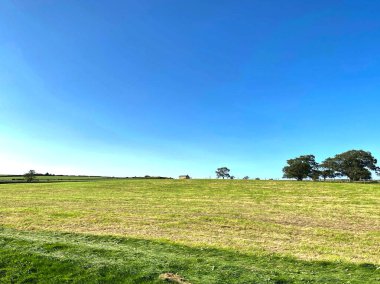 Extensive fields, with a farmhouse, on the horizon in, Hartwith cum Winsley, Harrogate, UK