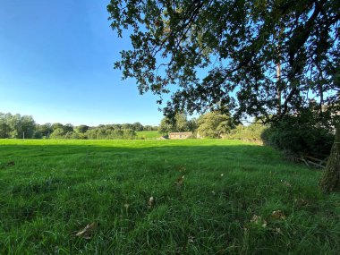 Bir tarlanın köşesinden, Farnley, Harrogate, İngiltere 'deki eski ağaçların ve çiftlik binalarının olduğu kırsal bir yer.