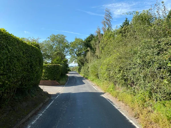 Blick Nach Unten Drury Lane Mit Hoher Hecke Wildpflanzen Und — Stockfoto