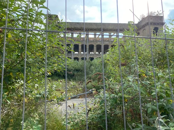 Lanificio Vittoriano Abbandonato Ricoperto Alberi Cespugli Nel Centro Bradford Yorkshire — Foto Stock