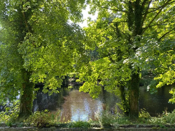 Riverside View Met Oude Bomen Gebroken Zonlicht Als Rivier Nidd — Stockfoto