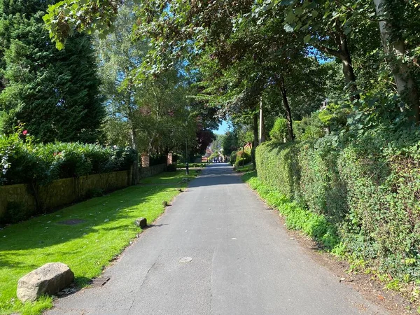 Entlang Der Abbey Road Mit Alten Bäumen Wildpflanzen Und Häusern — Stockfoto