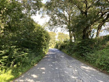 İyi bak Becks Brow, yüksek çitlerle ve yaşlı ağaçlarla, güneşli bir günde, Wigglesworth, Skipton, İngiltere