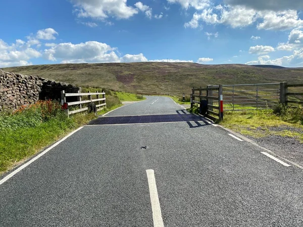 沿着Clitheroe到Skipton的公路 远处是英国的Newton Clitheroe 那里有一个牛群网 野花和荒野 — 图库照片