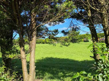 Ağaçların arasına bak, geniş bir çayır, tarım makineleri, ve mavi gökyüzü, Blubberhouse, Harrogate, İngiltere