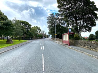 Yukarı bakıyorum, Allerton Lane, otobüs durağı, ağaçlar ve bulutlu gökyüzü, Bradford, Yorkshire, İngiltere