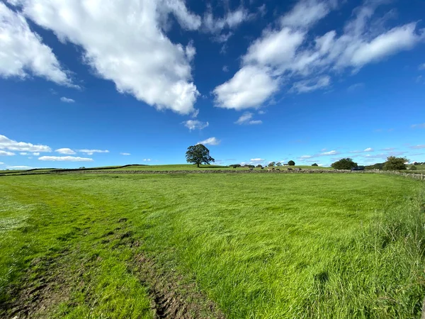 Vista Del Paisaje Sobre Terrenos Agrícolas Con Árboles Horizonte Fewston —  Fotos de Stock
