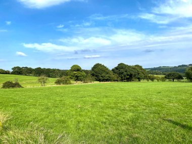 Kırsal alan, geniş bir çayır, eski ağaçlar ve tarlalar, Bradford yakınlarındaki, Yorkshire, İngiltere