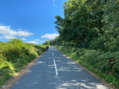 Yukarıya, Wescoe Hill Lane 'e bakıyorum. Çim çitleri, yaşlı ağaçlar ve İngiltere yakınlarındaki yürüyüşçülerle Weeton, Harrogate, İngiltere.