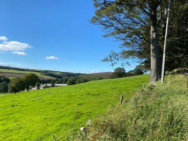 Hardisty Hill, Blubberhouse, İngiltere yakınlarındaki sıcak güneşli bir günde yuvarlanan tepeler, ağaçlar ve kulübeleriyle Idyllic kırsal manzarası.