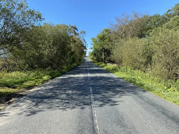 Pohled Nahoru Greenhow Hill Road Stromy Nastavit Proti Živé Modré — Stock fotografie