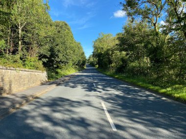 Pateley Köprüsü, Harrogate, İngiltere yakınlarındaki güneşli bir günde, yaşlı ağaçlarla dolu Ripley Bank 'a bakıyoruz.